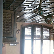 Plants: imagen 13 de 40 thumb