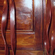 Plants: imagen 18 de 40 thumb