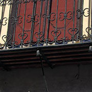 Plants: imagen 25 de 40 thumb