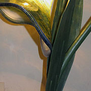 Plants: imagen 3 de 40 thumb