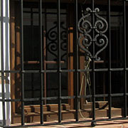 Plants: imagen 35 de 40 thumb