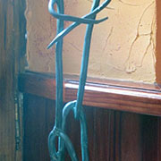 Plants: imagen 8 de 40 thumb